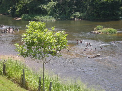 スリランカの川で水遊び