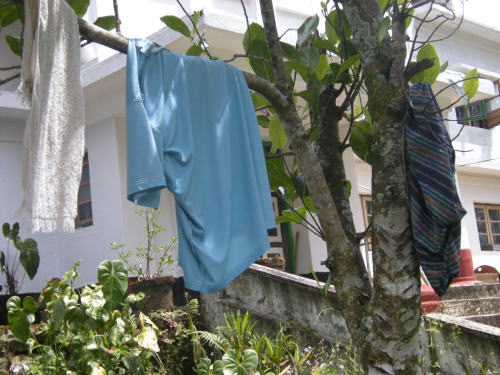 木に干された洗濯物