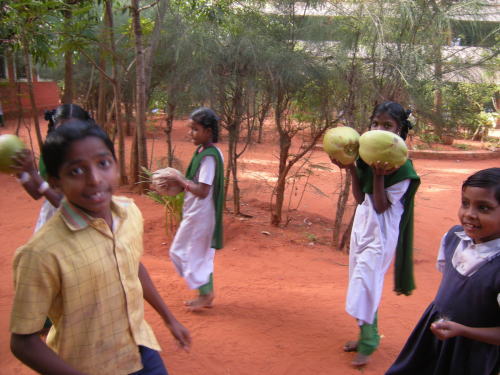 椰子の実を運ぶ子どもたち