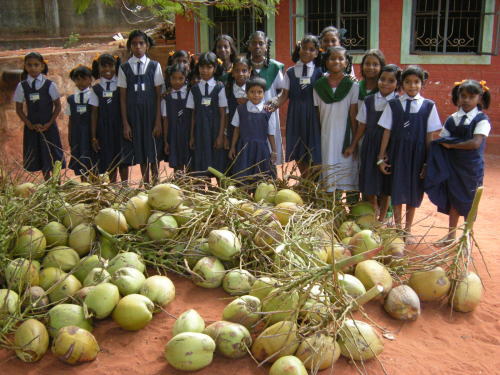 椰子の実とホームの女の子たち