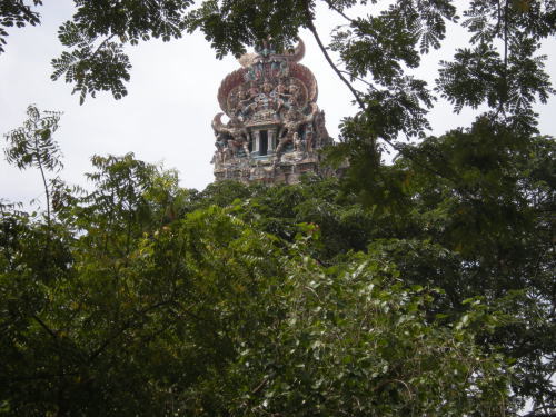 ヒンズー寺院の頭部