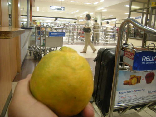 チェンナイ国際空港内でオレンジを食べました