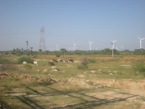 竹とんぼのような南インドの風力発電機