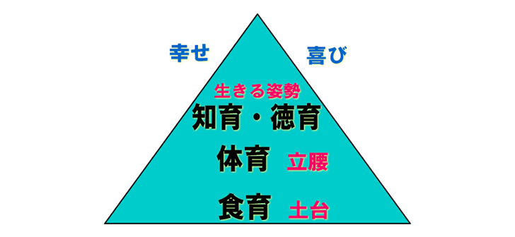 幼児教育・食育ピラミッド